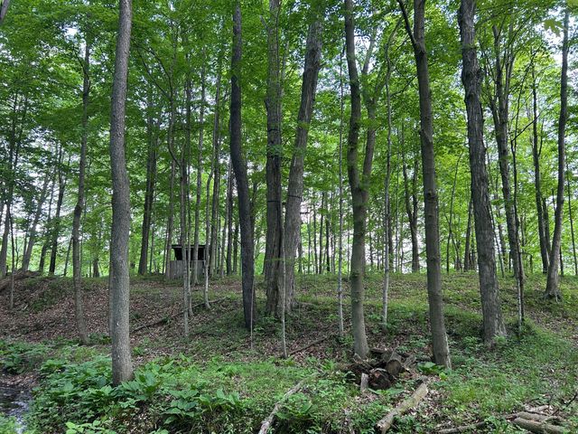 15300 Rome Road, Rollin Twp, MI 49253