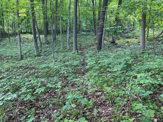 15300 Rome Road, Rollin Twp, MI 49253