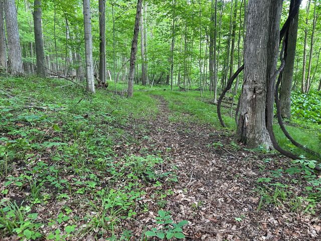15300 Rome Road, Rollin Twp, MI 49253