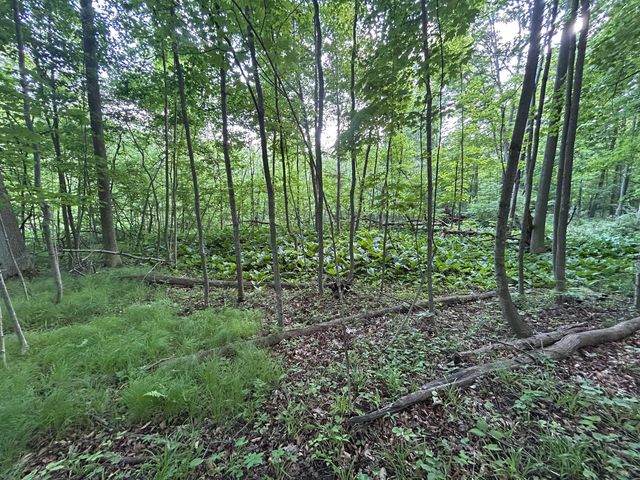 15300 Rome Road, Rollin Twp, MI 49253