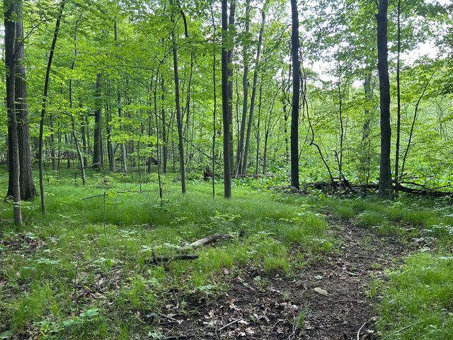 15300 Rome Road, Rollin Twp, MI 49253