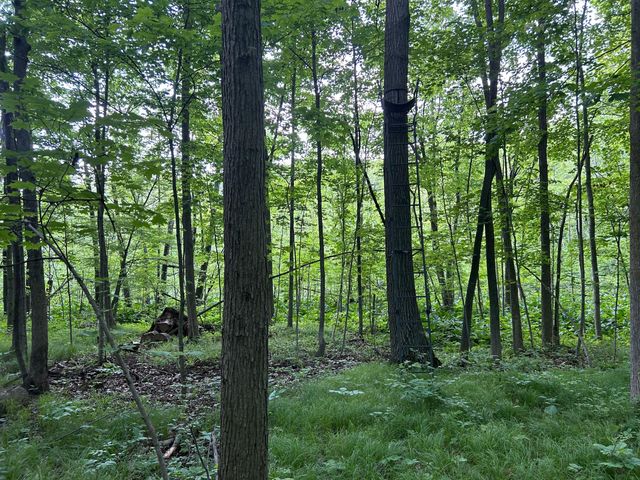 15300 Rome Road, Rollin Twp, MI 49253