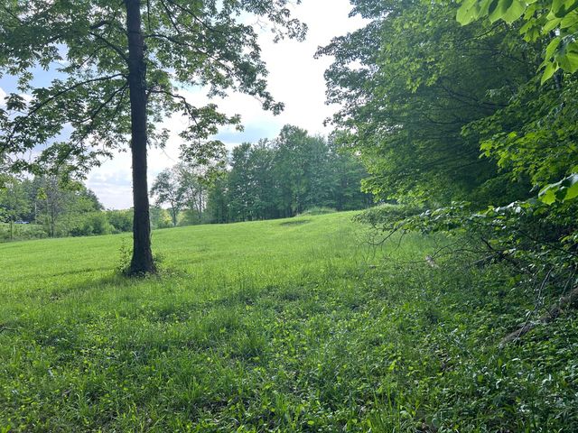 15300 Rome Road, Rollin Twp, MI 49253
