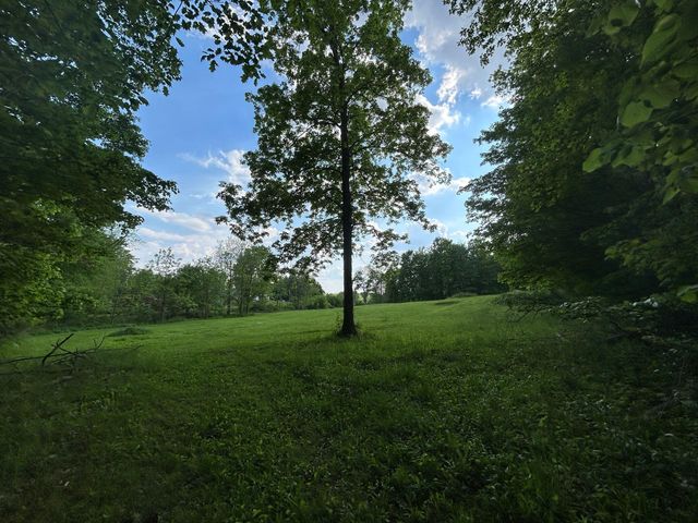 15300 Rome Road, Rollin Twp, MI 49253