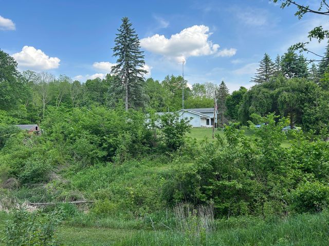 15300 Rome Road, Rollin Twp, MI 49253
