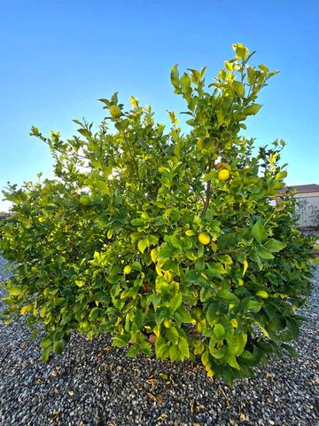 27107 Flagler St, Menifee, CA 92586