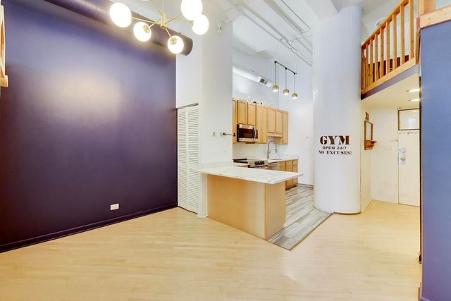 801 S WELLS Street 208, Chicago, IL 60607
