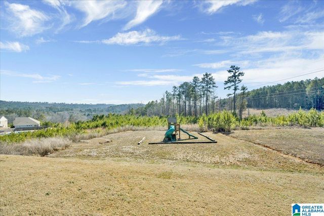 6439 WINSLOW DRIVE, Trussville, AL 35173