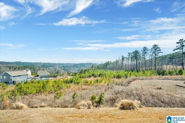 6439 WINSLOW DRIVE, Trussville, AL 35173