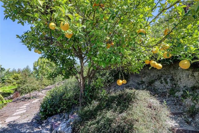 25 Headland Drive, Rancho Palos Verdes, CA 90275