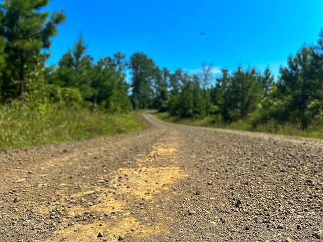 010 Carters Ferry Road, Milam, TX 75959