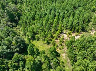 010 Carters Ferry Road, Milam, TX 75959