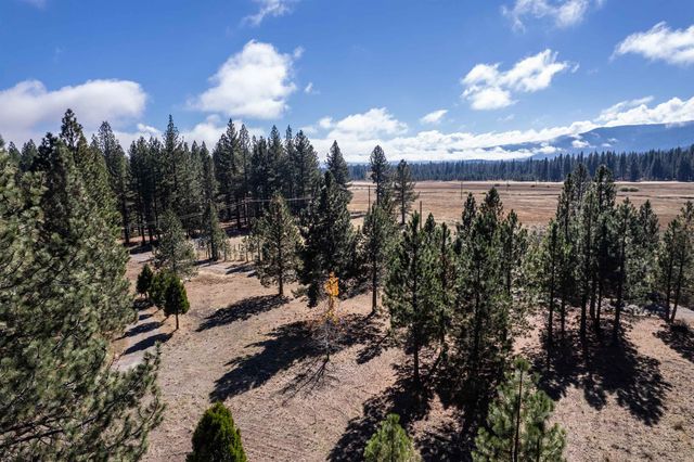 240 Meadow Ranch Road, Calpine, CA 96124