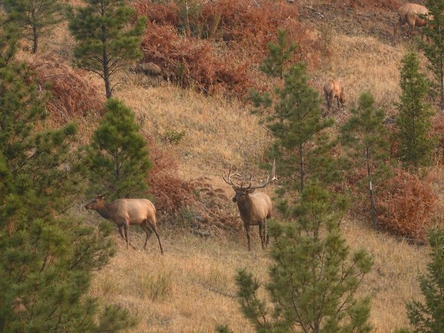4915 W US Highway 12, Helena, MT 59601