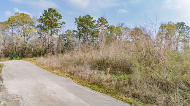 410 Pine Lake Drive, Houston, TX 77336