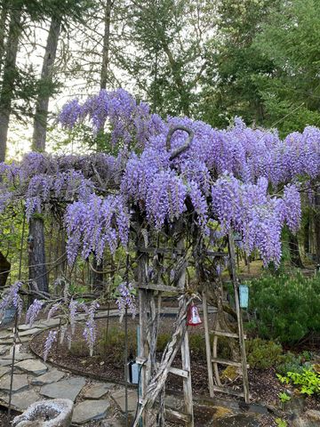 521 Seclusion Loop, Grants Pass, OR 97526