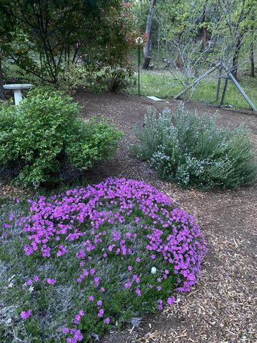 521 Seclusion Loop, Grants Pass, OR 97526