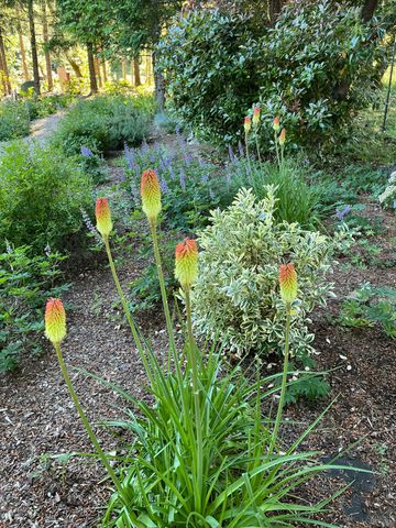 521 Seclusion Loop, Grants Pass, OR 97526