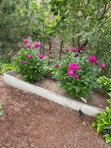 521 Seclusion Loop, Grants Pass, OR 97526