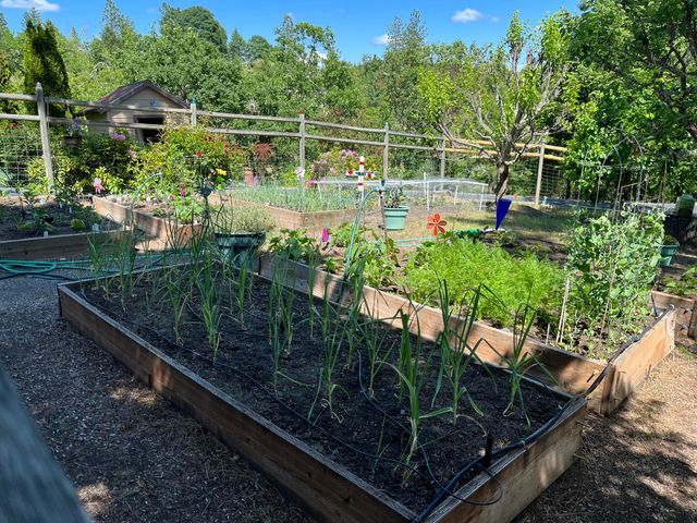 521 Seclusion Loop, Grants Pass, OR 97526