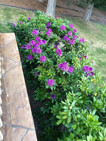 521 Seclusion Loop, Grants Pass, OR 97526