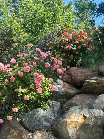 521 Seclusion Loop, Grants Pass, OR 97526