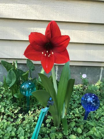 521 Seclusion Loop, Grants Pass, OR 97526