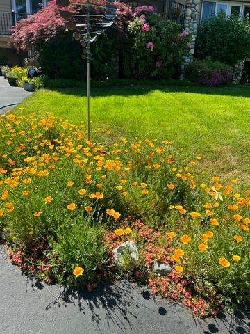 521 Seclusion Loop, Grants Pass, OR 97526