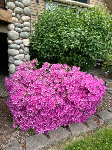 521 Seclusion Loop, Grants Pass, OR 97526