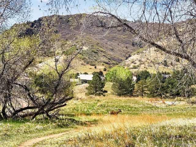 132 Willowleaf Drive, Littleton, CO 80127