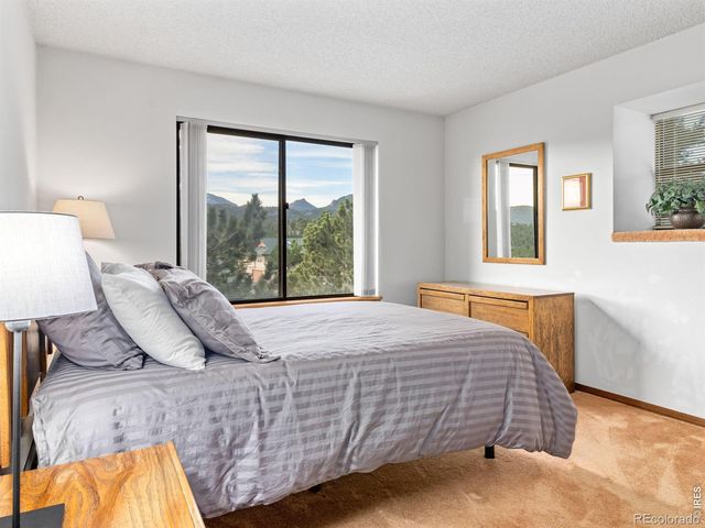 321 Big Horn Drive 6, Estes Park, CO 80517