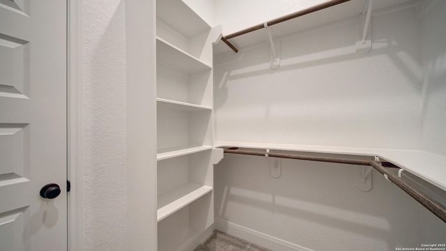 10036 Forelock Creek, San Antonio, TX 78254