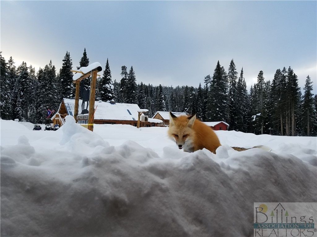 715 US Hwy 212, Cooke City, MT 59020 photo 33