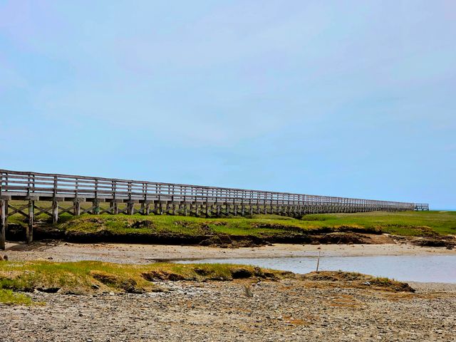 85 Collingwood Drive, Yarmouth Port, MA 02675