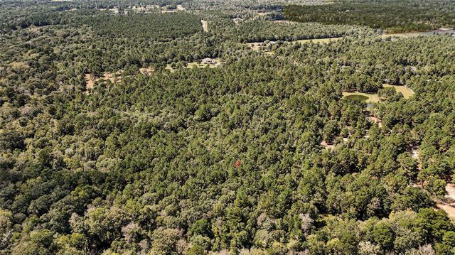 21490 Big Buck Drive, Cleveland, TX 77328