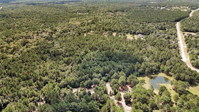 21490 Big Buck Drive, Cleveland, TX 77328