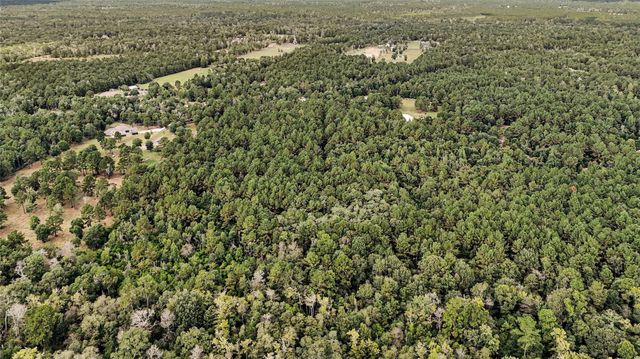 21490 Big Buck Drive, Cleveland, TX 77328