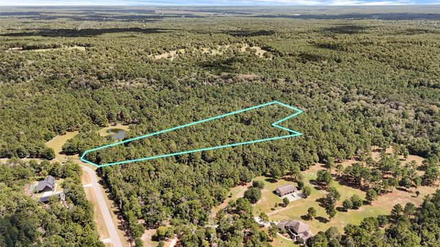 21490 Big Buck Drive, Cleveland, TX 77328
