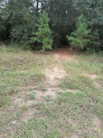 21490 Big Buck Drive, Cleveland, TX 77328