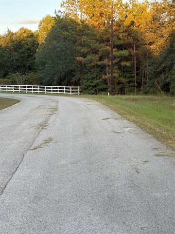 21490 Big Buck Drive, Cleveland, TX 77328