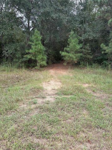 21490 Big Buck Drive, Cleveland, TX 77328