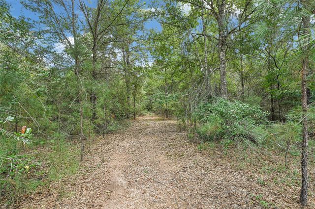 21490 Big Buck Drive, Cleveland, TX 77328