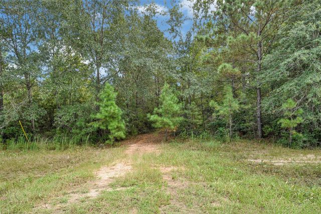 21490 Big Buck Drive, Cleveland, TX 77328