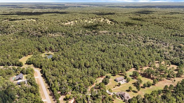 21490 Big Buck Drive, Cleveland, TX 77328