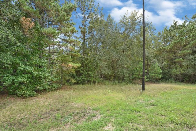 21490 Big Buck Drive, Cleveland, TX 77328
