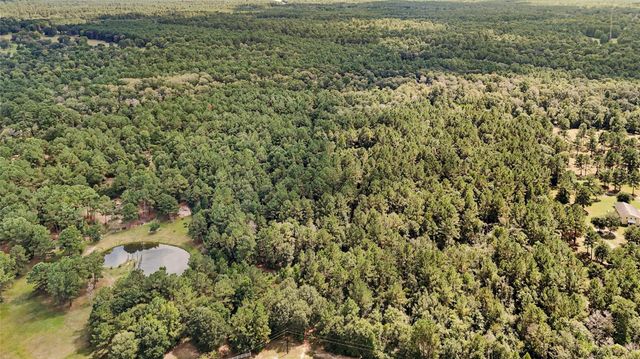 21490 Big Buck Drive, Cleveland, TX 77328