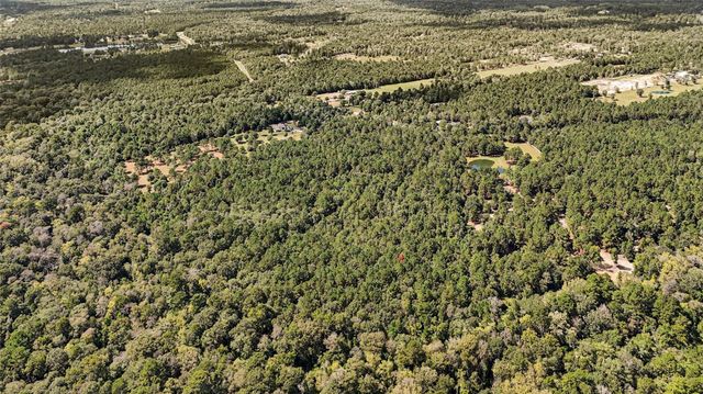 21490 Big Buck Drive, Cleveland, TX 77328