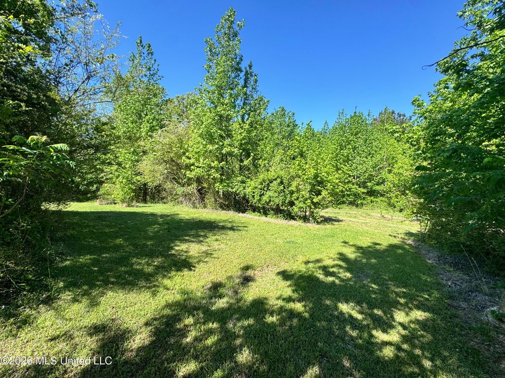 107 Union Valley Road, Byhalia, MS 38611 — photo 4