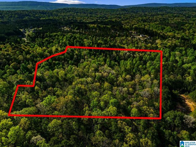 Off of MAGNOLIA CREST WAY, Odenville, AL 35120