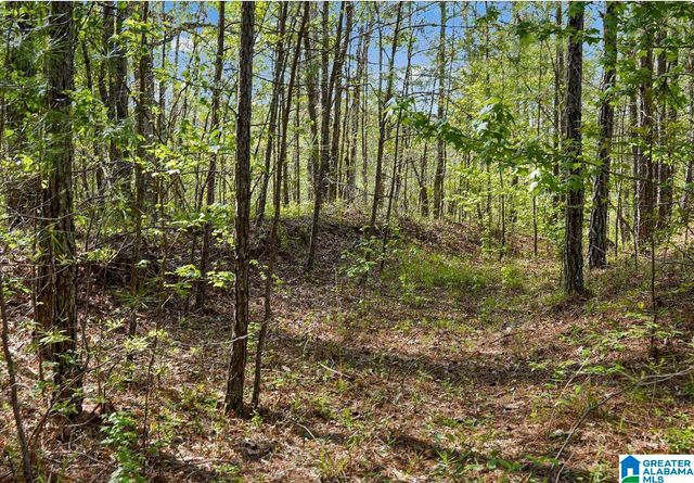 Off of MAGNOLIA CREST WAY, Odenville, AL 35120